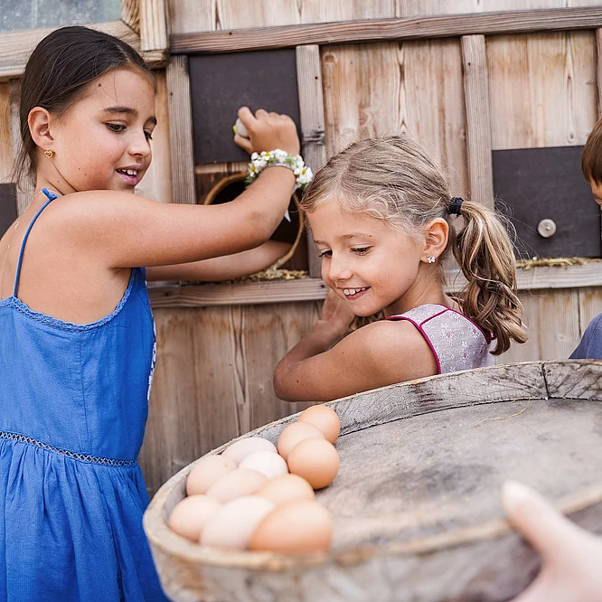 Children's farm Children gathering eggs at the mini farm in the Hotel Unterschwarzachhof