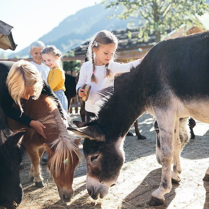 Children in the mini farm at the Hotel Unterschwarzachhof