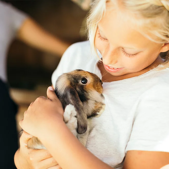 Minibauernhof Kind mit Meerschweinchen im Minibauernhof vom Hotel Unterschwarzachhof