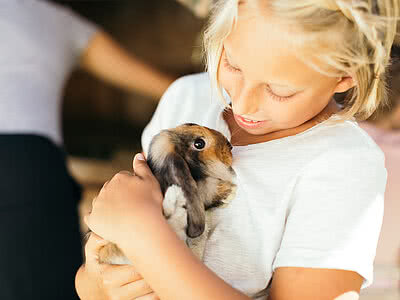 Kind mit Meerschweinchen im Minibauernhof vom Hotel Unterschwarzachhof