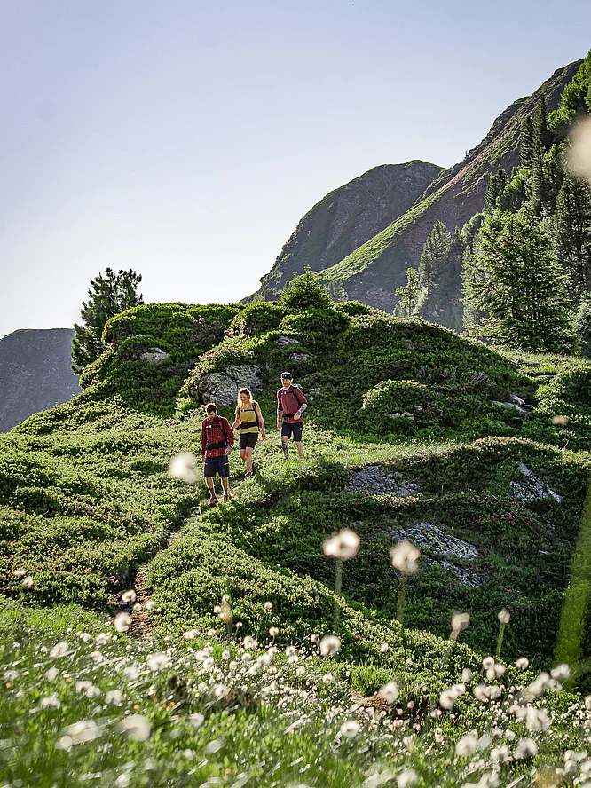 Angebote & Pauschalen Wanderurlaub im Sommer in Saalbach Hinterglemm