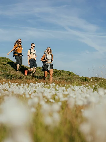 Drei Frauen wandern im Sommer durch blühende Almwiese mit blauem Himmel