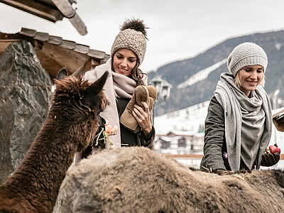 Zwei Frauen beim Lama füttern im Minibauernhof vom Hotel Unterschwarzachhof