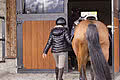 Reiterin führt Pferd in den Pferdestall vom Hotel Unterschwarzachhof