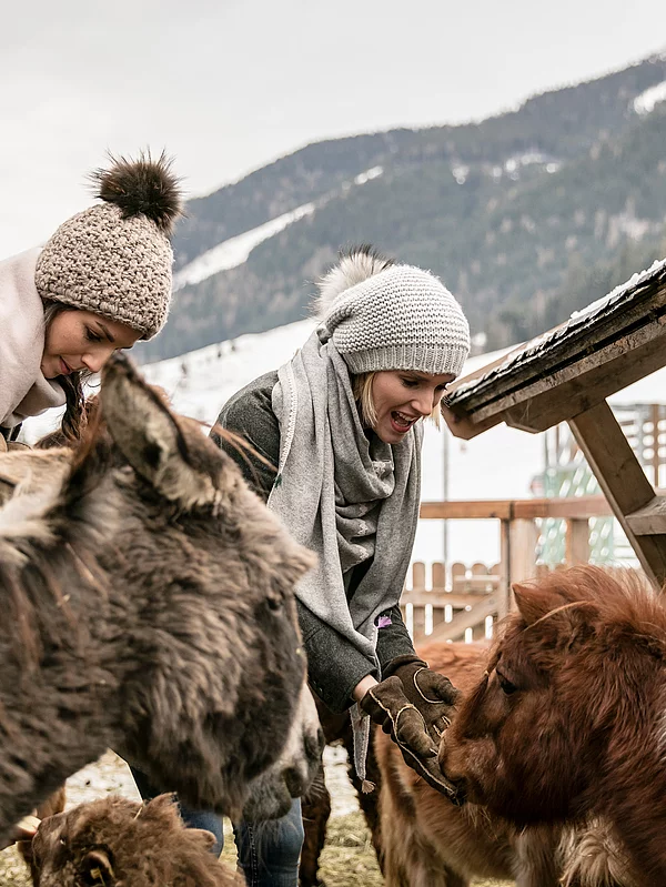 Zwei Frauen beim Lama füttern im Minibauernhof vom Hotel Unterschwarzachhof